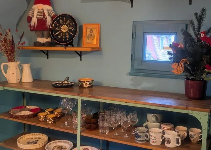 La Nuée Bleue Appartement Strasbourg